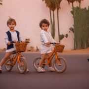 draisienne-marrakech Location de draisienne à Marrakech : le guide complet (2026)